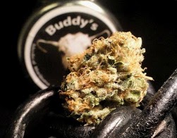 Buddy’s Cannabis